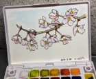 桜の枝咲き